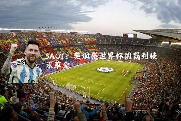 SAOT：美加墨世界杯的裁判技术革命